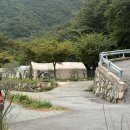 비타민 팜 오토캠핑장 이미지