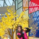 서울댄스스포츠학원 이미지