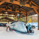 고래야 <미래도시> 이미지