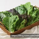 (주) 더드림유통 이미지