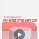 에이치앤글로벌