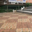 염주약국 이미지