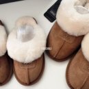 (주)코겟 네이버블로그