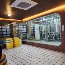 이장우 | 춘천 여행 코스 감자아일랜드 이장우 코스 후기