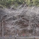 옥구지역아동센터 이미지