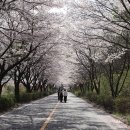 산안2리마을 이미지