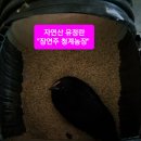 천마산농장 이미지