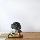 방배1동 주민센터 이미지