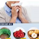 알레르기 비염 증상 완화 비염에좋은음식 안좋은 음식 이미지