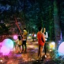 속리산 법주사 이미지