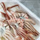 금성수산 이미지