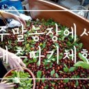 대추공인중개사사무소 이미지