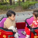 온새미어린이집 이미지