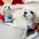 나랑놀개 이미지