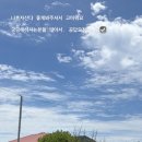 효연이네 | "효연도 속았다"...유리 선글라스 품절대란