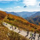 (주)길여행사 이미지