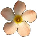 현진마트 이미지