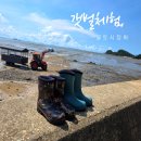 뽀송 | 갯벌 체험 인생템 쿨토시 성인 장화 내돈내산 발 뽀송 솔직 후기