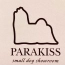 파라키스 이미지