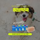 금호동물약국 이미지