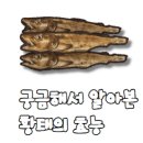 북면182 | 고성황태맛집 용대리이렇게 맛있을 수가 없어요