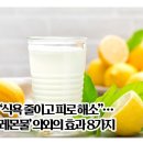 ''식욕줄이고피로해''…' '레몬물''의외의효과8가지 이미지