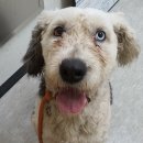 이마트에브리데이 앞 이미지