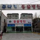 쥬라기동물종합병원 | 인천 부평동 동물병원 쥬라기 동물종합병원 위치 오는길 후기
