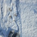 한주(아) | 벌써 한주의 끝이네