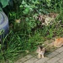 학동축산 이미지