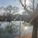 만복네 짬짜장 이미지