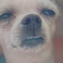 모현읍 행정복지센터 이미지