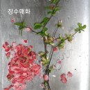 경남 기독문학 청지기 8차, 김일연목사 이미지