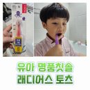 차니명품 | 유아칫솔 추천 안아픈 명품칫솔 래디어스로 양치 잘하는 5세 된 후기