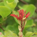 신흥2리 이미지