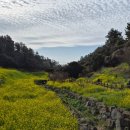 씨사이드아덴 | 제주서귀포숙소 추천 : 씨사이드아덴 투숙 후기! 3월 엉덩물계곡 유채꽃 코스까지 완벽 (중문숙소 강추)