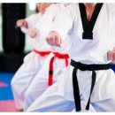 청룡태권도체육관 이미지