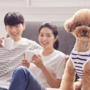 원 종합동물병원 이미지