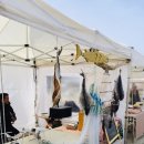 설악해변(비치마켓) 이미지