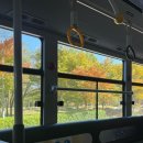 초록공원 농구장 이미지