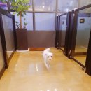 하이뭉치 유치원 이미지