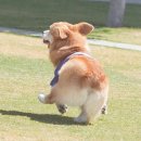 살랑살랑 이미지