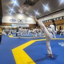 세계로태권도 이미지