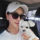 내새끼 펫 이미지