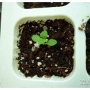 토룡농장 이미지