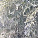 신기촌충전소 이미지