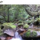 명전계곡 이미지