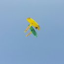 봄날-산책 이미지