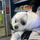 어쩌다 PC방 이미지