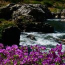 왕성길농장 이미지